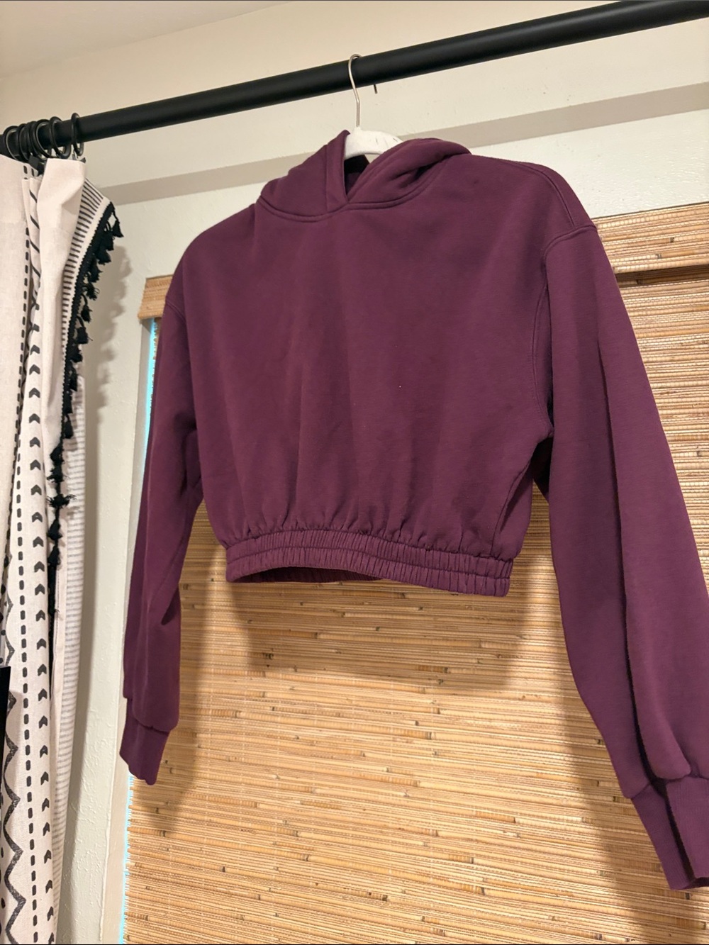 Zara Cropped Hooded Sweatshirt in Plum